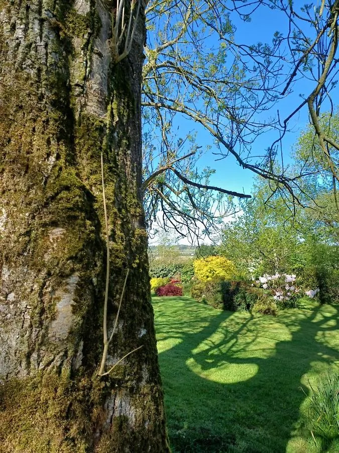 Maison 2 Graines La Roche-Maurice 0*,