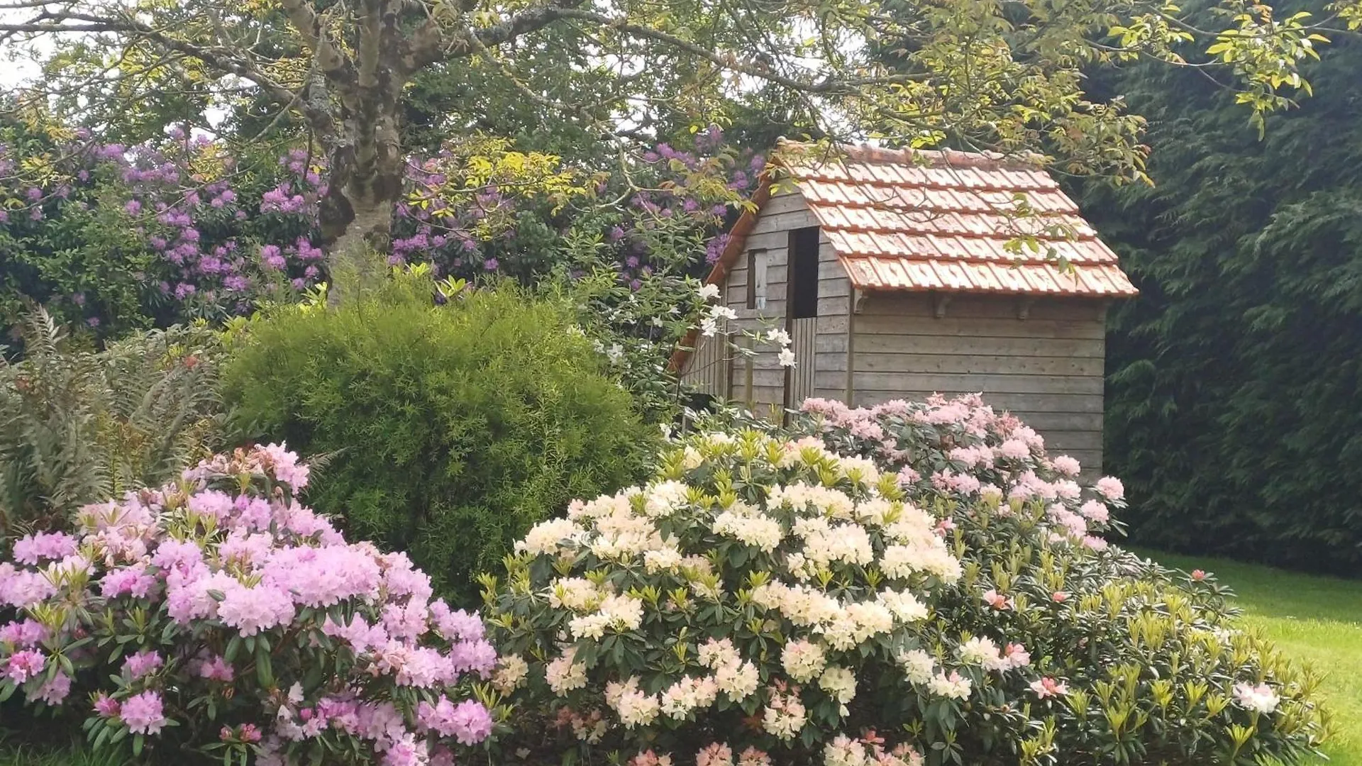 Maison 2 Graines La Roche-Maurice Guest house